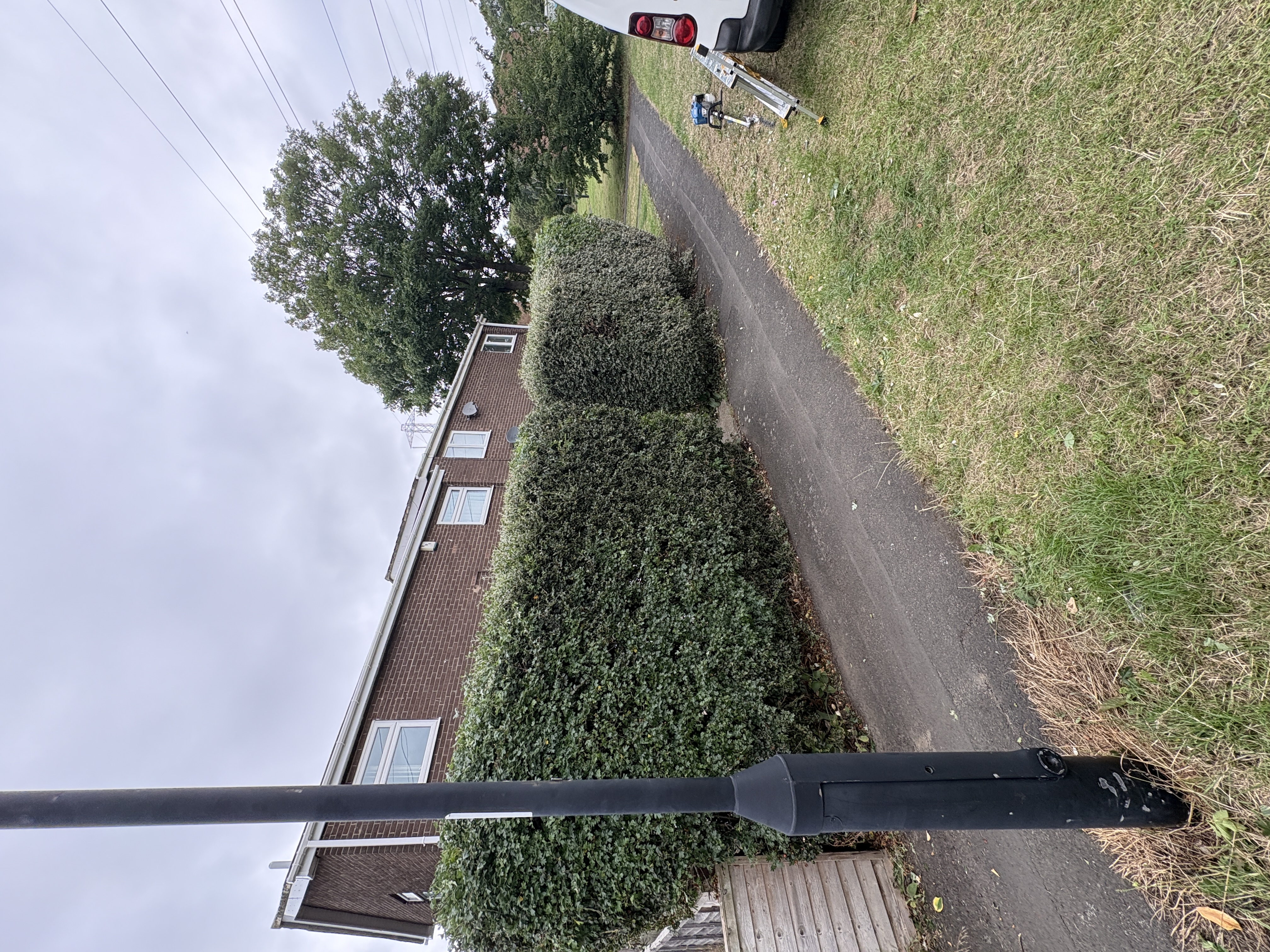 Hedge after trimming