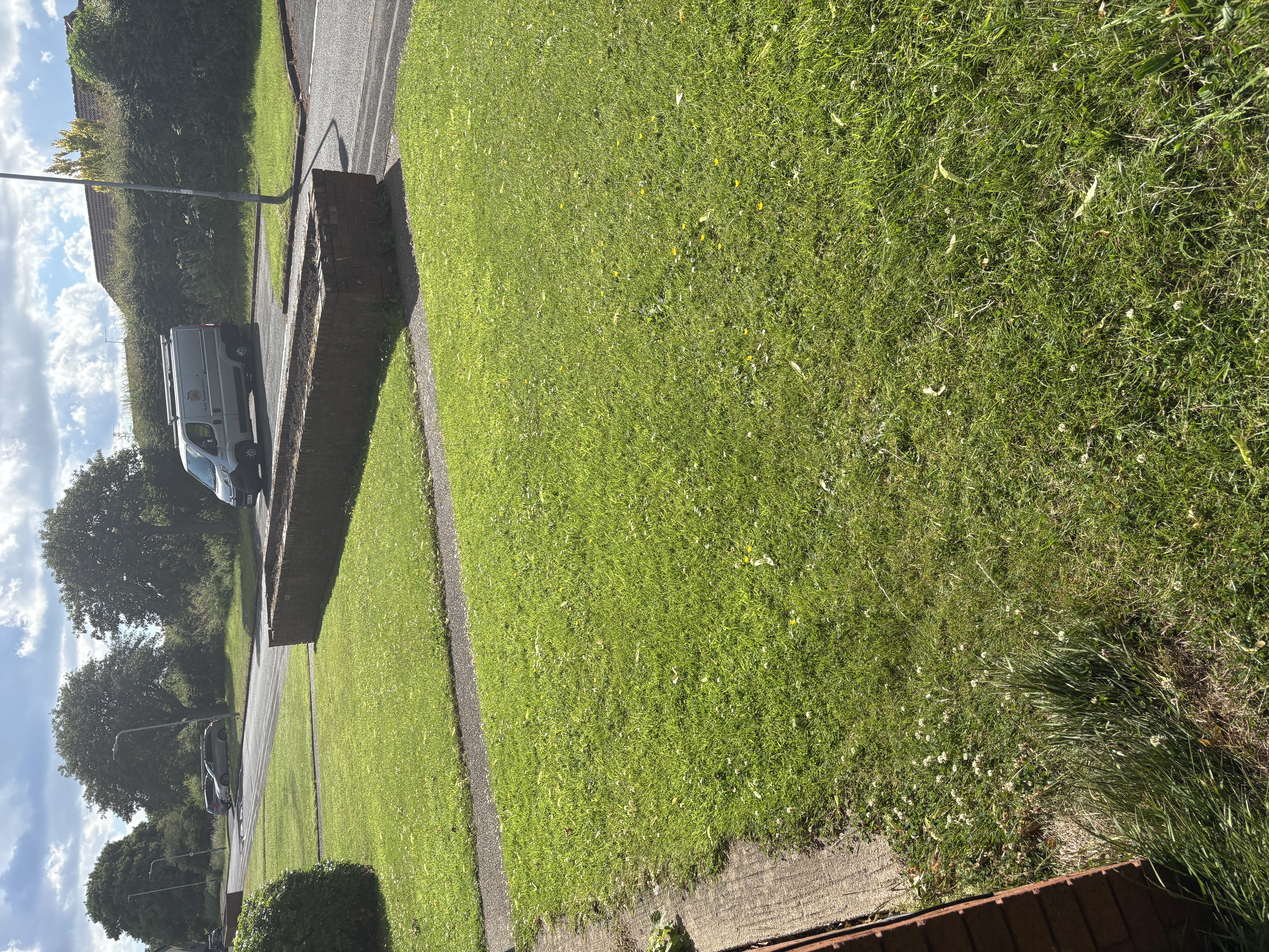Regular garden maintenance in Newcastle before